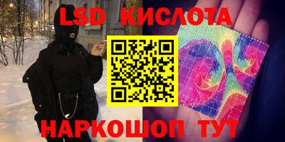 винт Можга