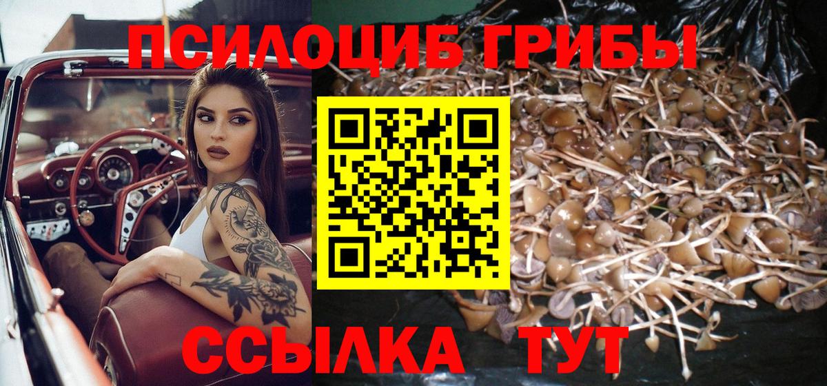 Псилоцибиновые грибы ЛСД  Галлюциногенные грибы мухоморы  Вход с VPN  Дивногорск 